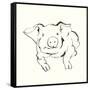 Line Pig II-Chris Paschke-Framed Stretched Canvas