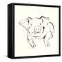 Line Pig II-Chris Paschke-Framed Stretched Canvas