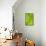 Line Study Green-Charles McMullen-Art Print displayed on a wall