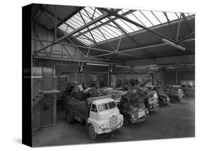 Line Up of 1950S Lorries at Spillers Animal Foods, Gainsborough, Lincolnshire, 1961-Michael Walters-Stretched Canvas