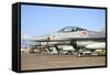 Line-Up of F-16A Mlu of the Royal Danish Air Force at Naval Air Station Sigonella-Stocktrek Images-Framed Stretched Canvas