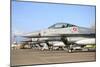 Line-Up of F-16A Mlu of the Royal Danish Air Force at Naval Air Station Sigonella-Stocktrek Images-Mounted Photographic Print