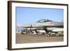 Line-Up of F-16A Mlu of the Royal Danish Air Force at Naval Air Station Sigonella-Stocktrek Images-Framed Photographic Print