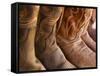 Line up of New Cowboy Boots in Old Scottsdale-Terry Eggers-Framed Stretched Canvas