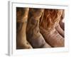 Line up of New Cowboy Boots in Old Scottsdale-Terry Eggers-Framed Photographic Print