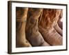 Line up of New Cowboy Boots in Old Scottsdale-Terry Eggers-Framed Photographic Print