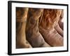 Line up of New Cowboy Boots in Old Scottsdale-Terry Eggers-Framed Photographic Print