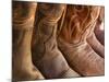 Line up of New Cowboy Boots in Old Scottsdale-Terry Eggers-Mounted Photographic Print