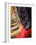 Line up of New Cowboy Boots in Old Scottsdale-Terry Eggers-Framed Photographic Print