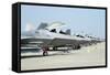 Line-Up of U.S. Air Force F-22A Raptors at Langley Air Force Base, Virginia-Stocktrek Images-Framed Stretched Canvas