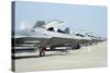 Line-Up of U.S. Air Force F-22A Raptors at Langley Air Force Base, Virginia-Stocktrek Images-Stretched Canvas