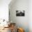 Line-Giuseppe Torre-Stretched Canvas displayed on a wall
