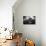 Line-Giuseppe Torre-Photographic Print displayed on a wall