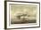 Linea Celere Di Lusso, Dampfer Capri, Navigazione-null-Framed Giclee Print