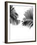 Linear Frond Focus-Bill Philip-Framed Giclee Print