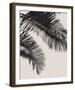 Linear Frond I - Fawn-Bill Philip-Framed Giclee Print