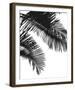 Linear Frond I-Bill Philip-Framed Giclee Print