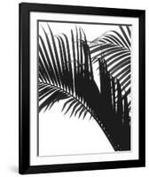 Linear Frond II-Bill Philip-Framed Giclee Print