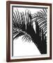 Linear Frond II-Bill Philip-Framed Giclee Print