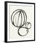 Linear Fruit - Melon-Strawberry Field-Framed Giclee Print