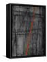 Linear Heteroclite I-Joshua Schicker-Framed Stretched Canvas