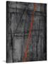 Linear Heteroclite I-Joshua Schicker-Stretched Canvas