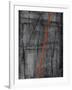 Linear Heteroclite I-Joshua Schicker-Framed Giclee Print