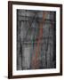 Linear Heteroclite I-Joshua Schicker-Framed Giclee Print