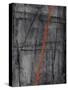 Linear Heteroclite I-Joshua Schicker-Stretched Canvas