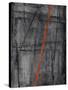 Linear Heteroclite I-Joshua Schicker-Stretched Canvas