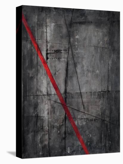 Linear Heteroclite II-Joshua Schicker-Stretched Canvas