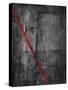Linear Heteroclite II-Joshua Schicker-Stretched Canvas