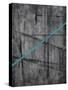 Linear Heteroclite III-Joshua Schicker-Stretched Canvas