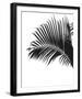 Linear Palm I-Bill Philip-Framed Giclee Print