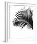 Linear Palm I-Bill Philip-Framed Giclee Print