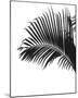 Linear Palm I-Bill Philip-Mounted Giclee Print