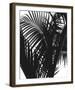 Linear Palm II-Bill Philip-Framed Giclee Print