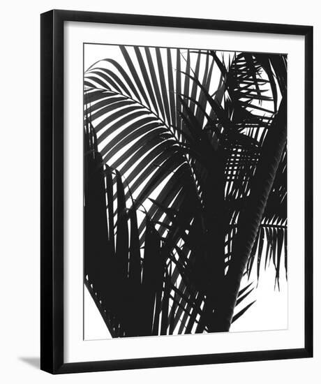 Linear Palm II-Bill Philip-Framed Giclee Print