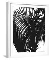 Linear Palm II-Bill Philip-Framed Giclee Print