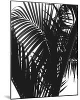 Linear Palm II-Bill Philip-Mounted Giclee Print