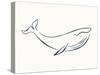 Linear Sketch - Whale-Clara Wells-Stretched Canvas