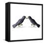Canvas Black