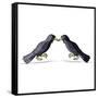 Canvas Black