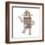 Brown Frame