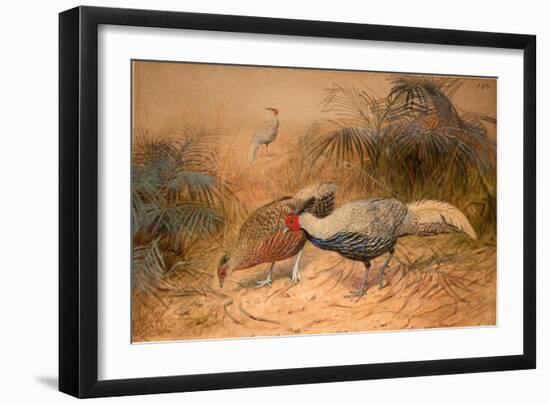 Lineated Kaleege (Euplpcamus Lineatus), C.1851-76-Joseph Wolf-Framed Giclee Print