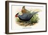 Lineated Pheasant-Birds Of Asia-John Gould-Framed Premium Giclee Print