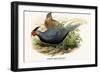 Lineated Pheasant-Birds Of Asia-John Gould-Framed Premium Giclee Print