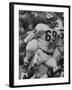 Linebacker for Kansas City Chiefs Sherrill Headrick in Action-null-Framed Premium Photographic Print