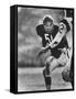 Linebacker for the Bears Dick Butkus-Bill Eppridge-Framed Stretched Canvas