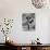 Linebacker for the Bears Dick Butkus-Bill Eppridge-Premium Photographic Print displayed on a wall